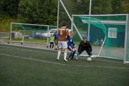 vvileidsvЖg2012 039